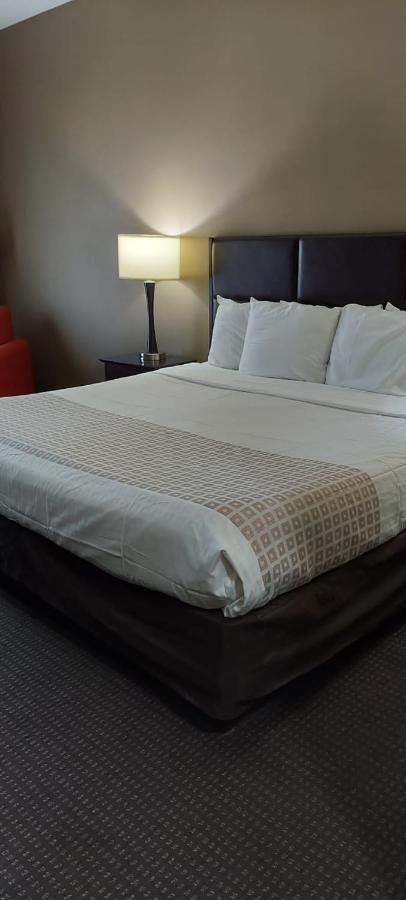 King Room,1114046292:JPEG